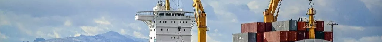 Gear Used In Heavy Lifting And Moving